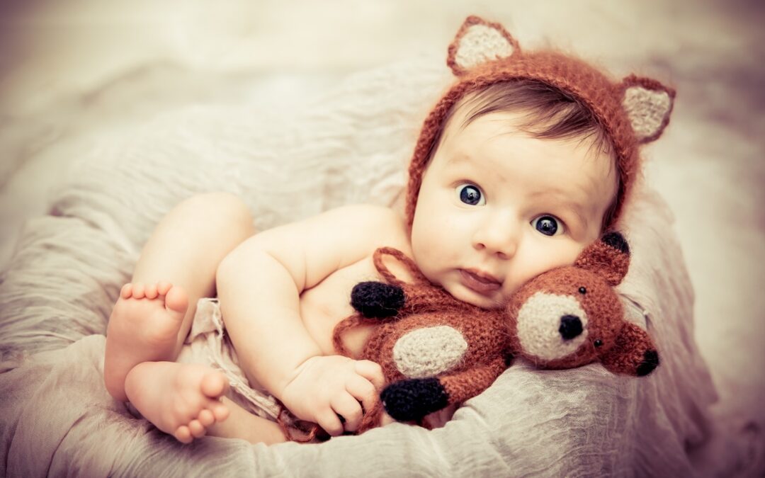 Adorable little fox