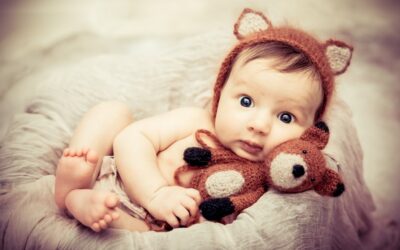 Adorable little fox